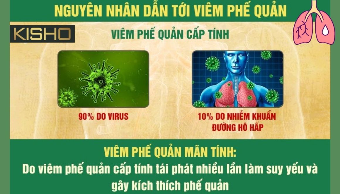 nguyen-nhan-va-dau-hieu-cua-viem-phe-quan (1)