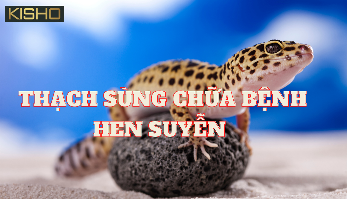 thach-sung-chua-benh-hen-suyen (3)